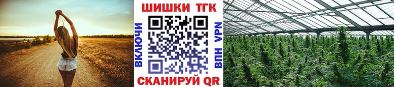 Бошки Шишки Amnesia Лахденпохья
